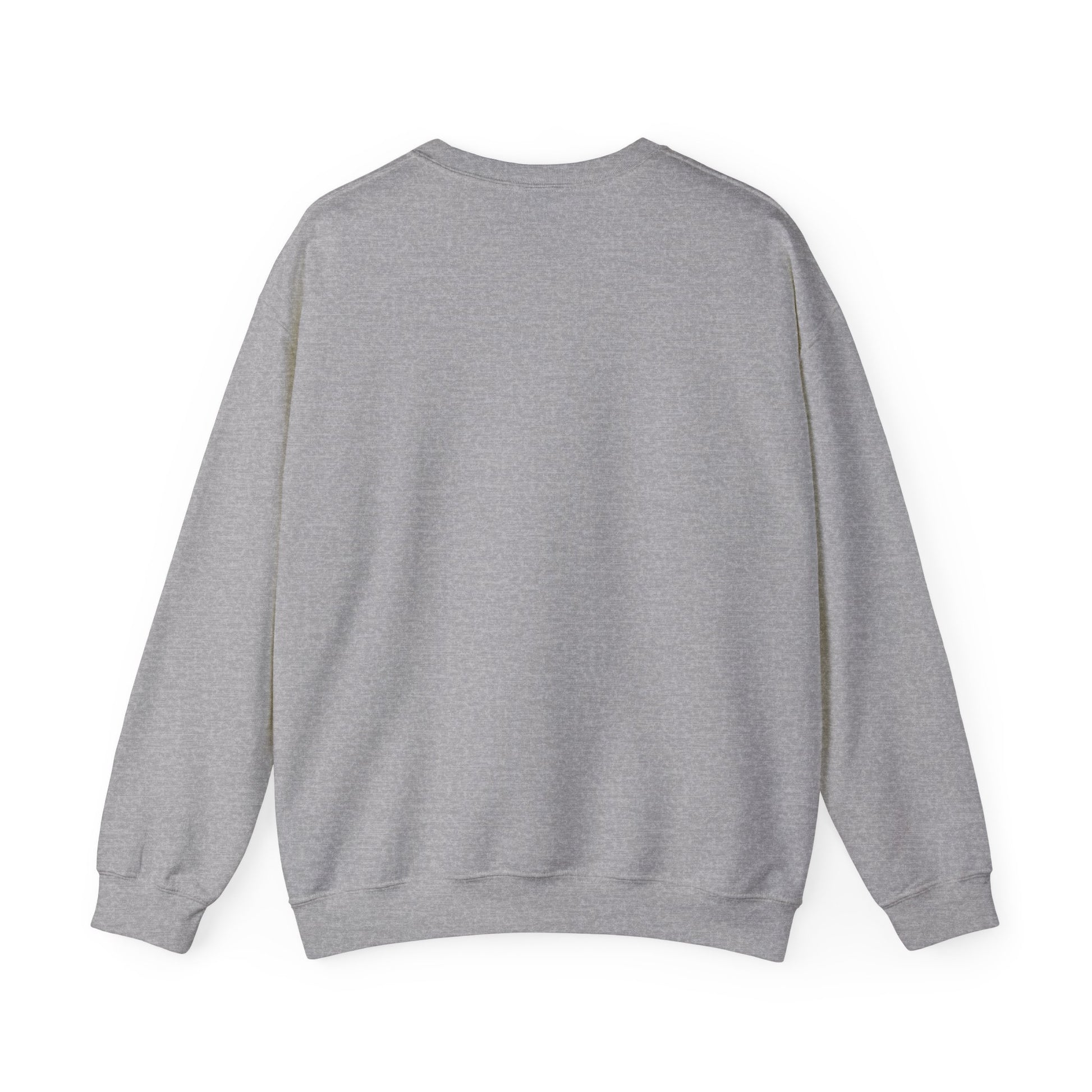 We Are STILL Not Going Back (Style 1) - Inspirational Crewneck Sweatshirt (Text in Black/White/Multi-Color; 7 Color Options)