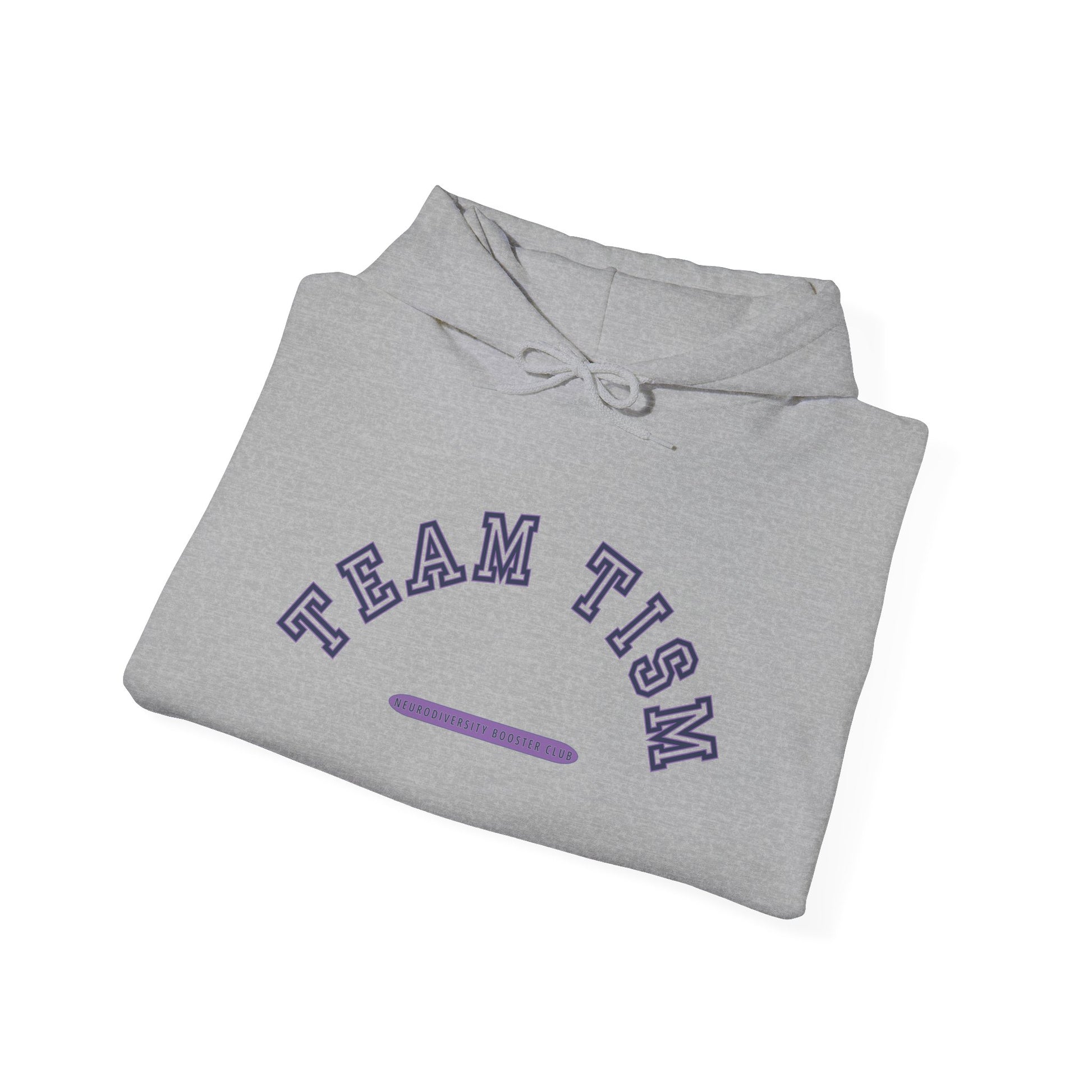 TEAM TISM Hoodie (Purple Accent) — Embrace Neurodiversity Collection