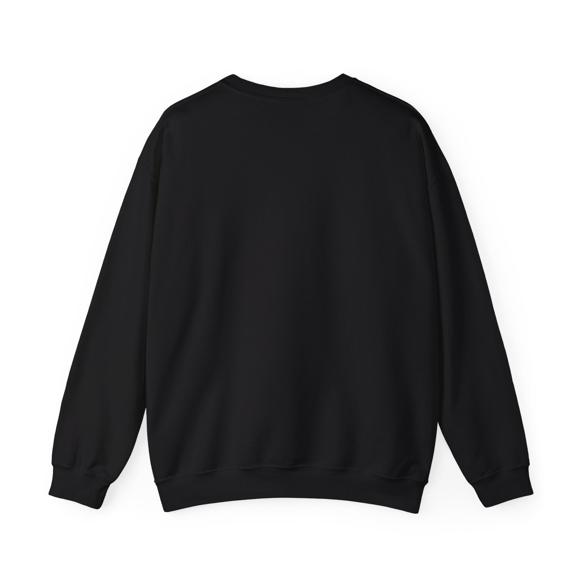 We Are STILL Not Going Back (Style 1) - Inspirational Crewneck Sweatshirt (Text in Black/White/Multi-Color; 7 Color Options)